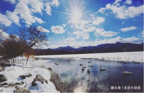 俄3人零下24℃山中待3天奇迹生还，坚韧意志与自然共存的奇迹